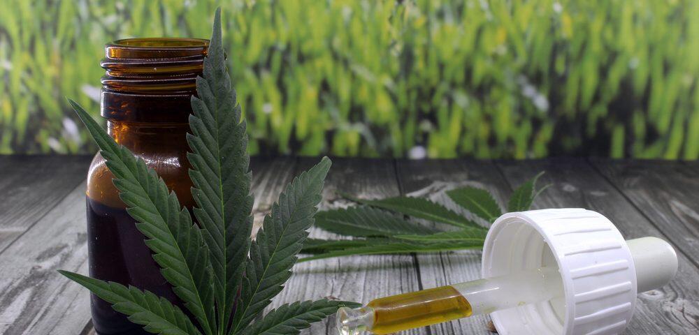 Ganja Legal Pertama di AS buat Obat