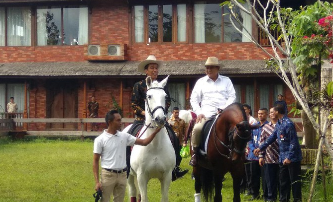 Kubu Jokowi Soroti Kuda Impor Prabowo, Timses: Jaka Sembung Bawa Golok
