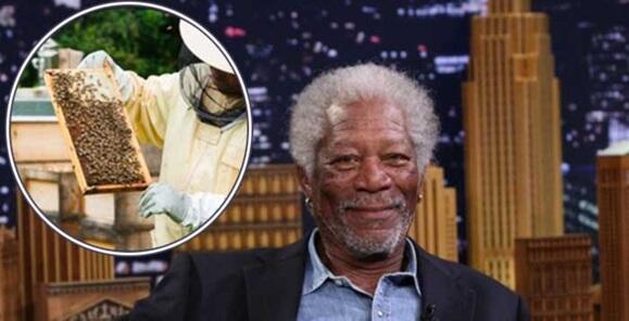 Mengenal Lebih Dalam Aktor Legendaris Morgan Freeman