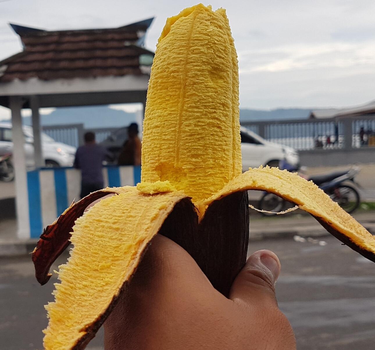 Unik, Pisang Khas Maluku Ini Dipercaya Paling Sehat di Indonesia Lho!