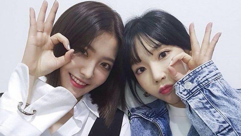 Walau Beda Usia Jauh, Para Seleb KPop Ini Akrab Seperti Kakak Adik