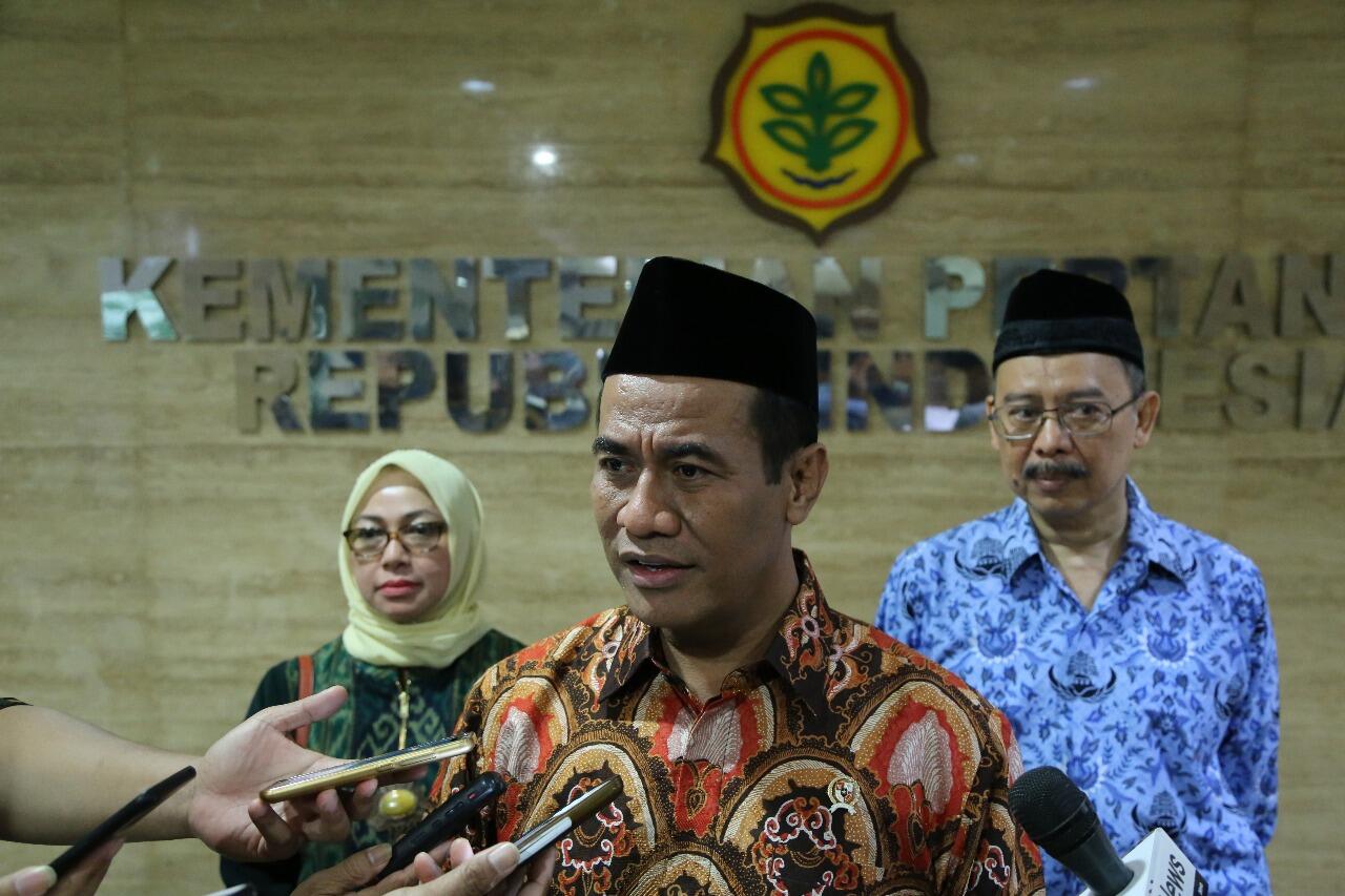 Kementan Padtikan Indonesia Surplus Jagung 330 Ribu Ton dan Stop Impor 3,6 Juta Ton