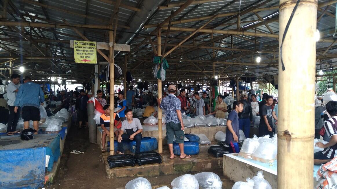 Pasar Ikan Parung Jadwal Ruang Ilmu