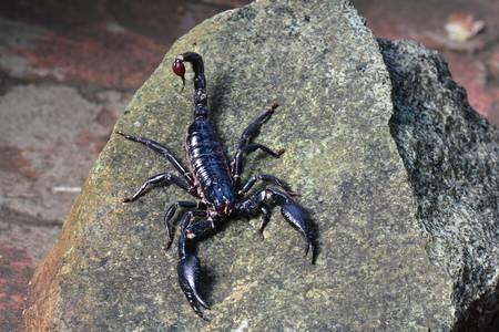 Cari Tahu Olahraga yang Cocok Buat Agan Dilihat dari Zodiak