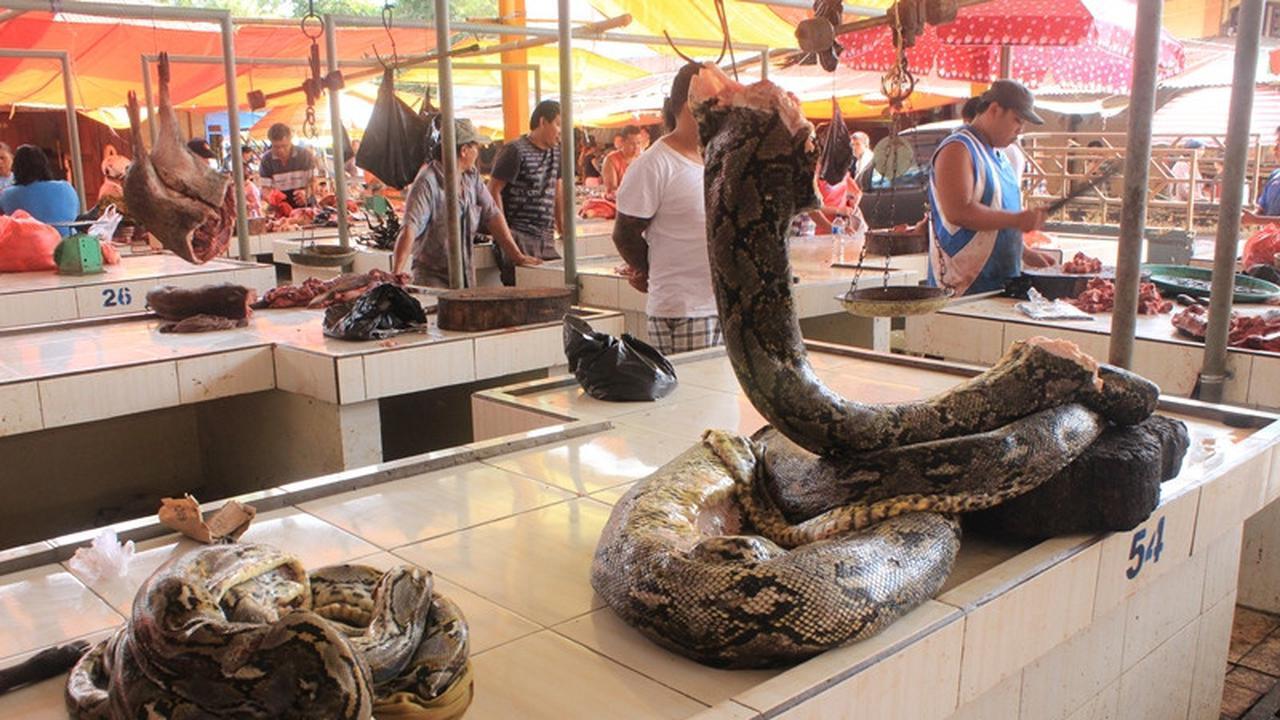 Ini 3 Pasar Tradisional Paling Ekstrem di Dunia, Salah Satunya Ada di Indonesia