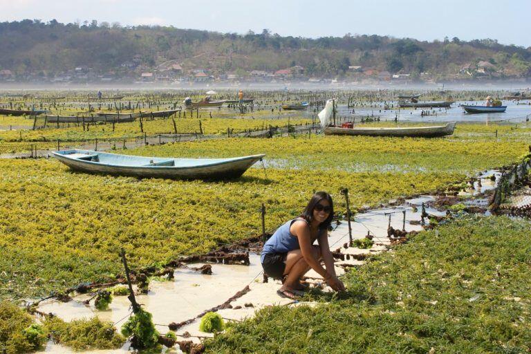 Bukan Sembarang Tempat Wisata, Ini 10 Agrowisata di Bali