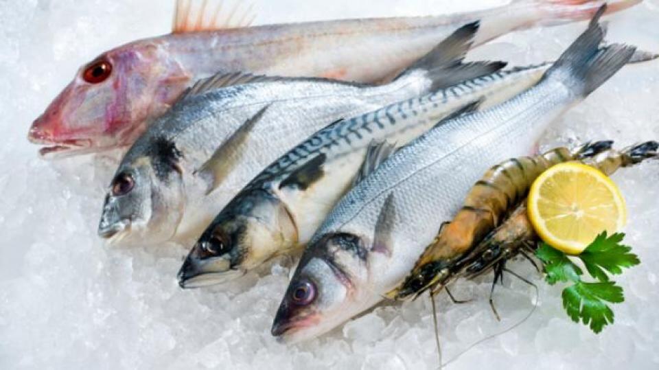 7 Makanan Enak yang Bisa Tingkatkan Daya Ingat, Biar Gak Cepat Pikun