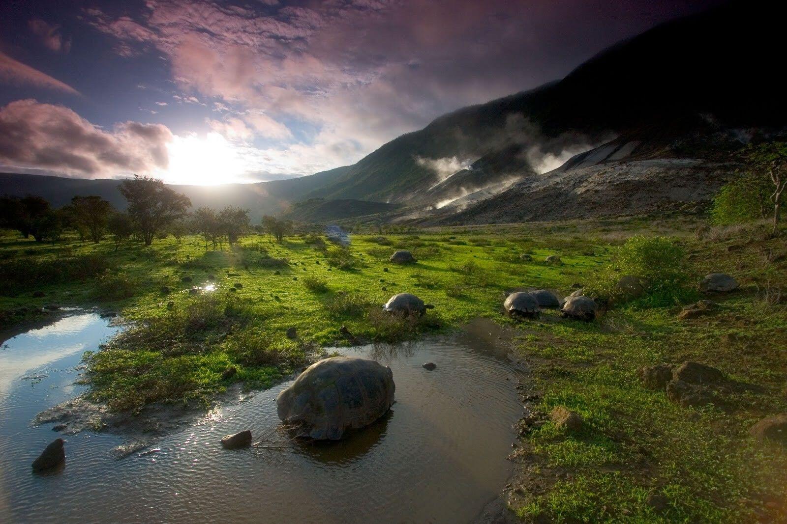 8 Destinasi Wisata yang Cocok buat Para Introvert, Nyaman dan Tenang
