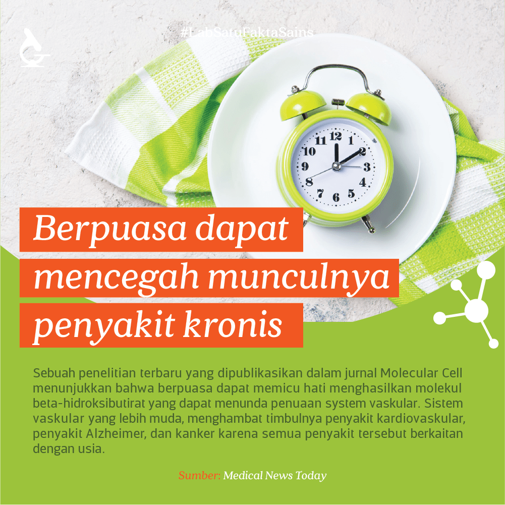 Bagian Otak Tokek Bisa Tumbuh Kembali