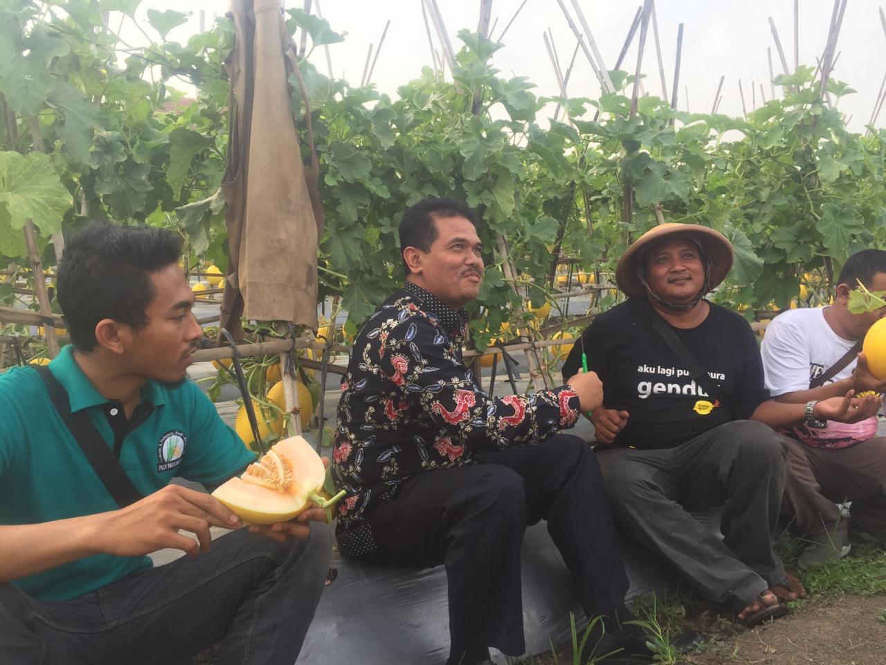 Kementan Dorong Petani Muda Kembangkan Hortikultura di Pinggir Bandara Soetta