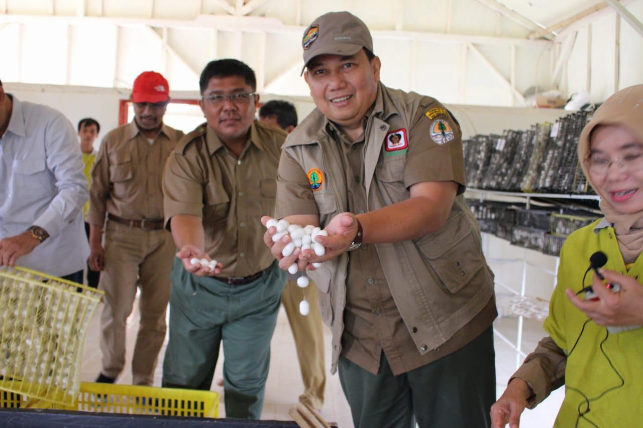 Perhutanan Sosial Mampu Mengembangkan Industri Sutera Nasional