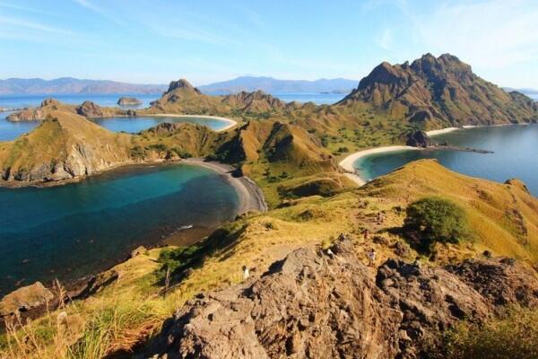 Ini 5 Bukti Persahabatan Indonesia dan Selandia Baru, Keren Deh!