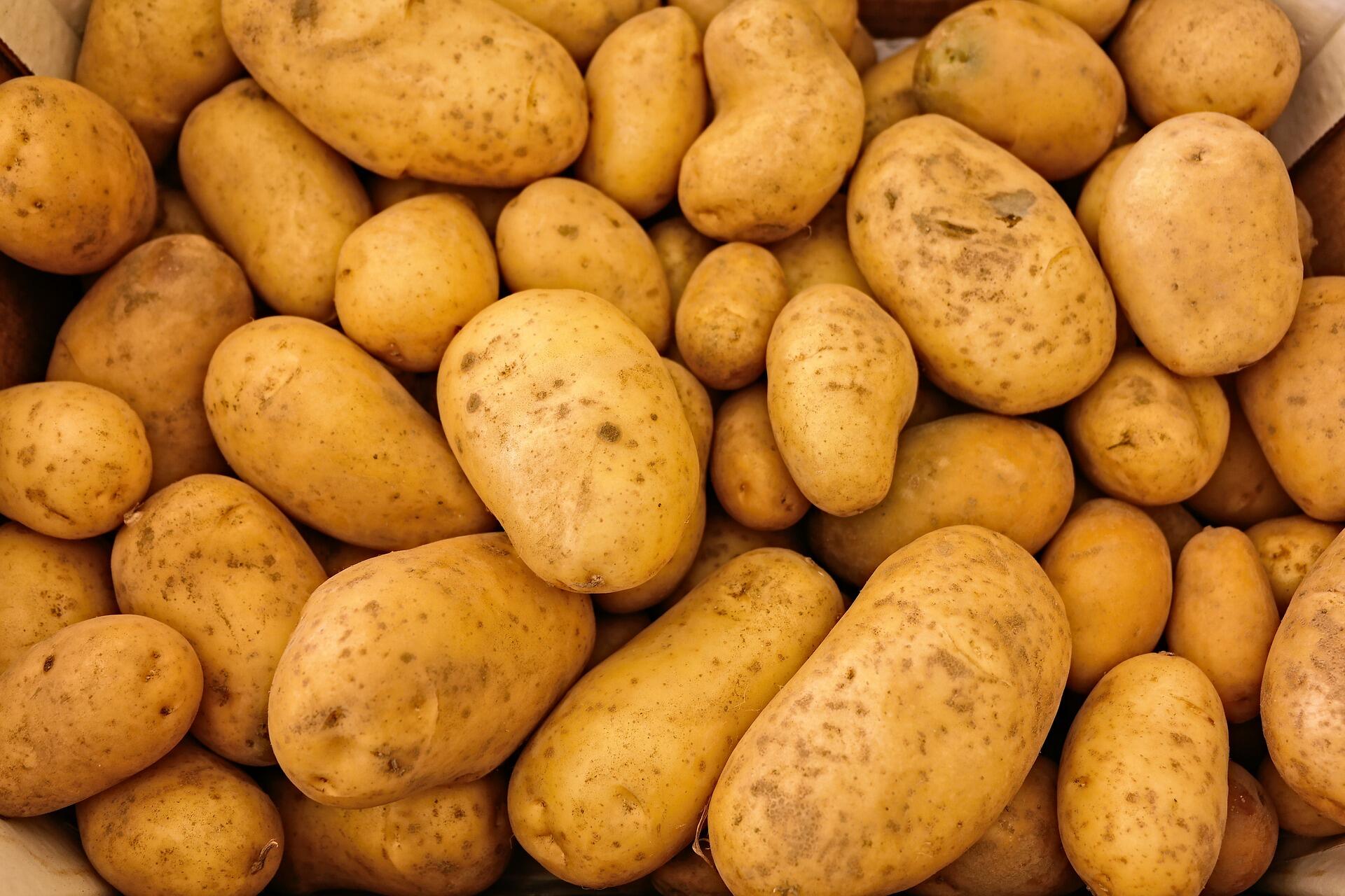 Biar Cepat Langsing, 10 Makanan Ini Dilarang untuk Golongan Darah A