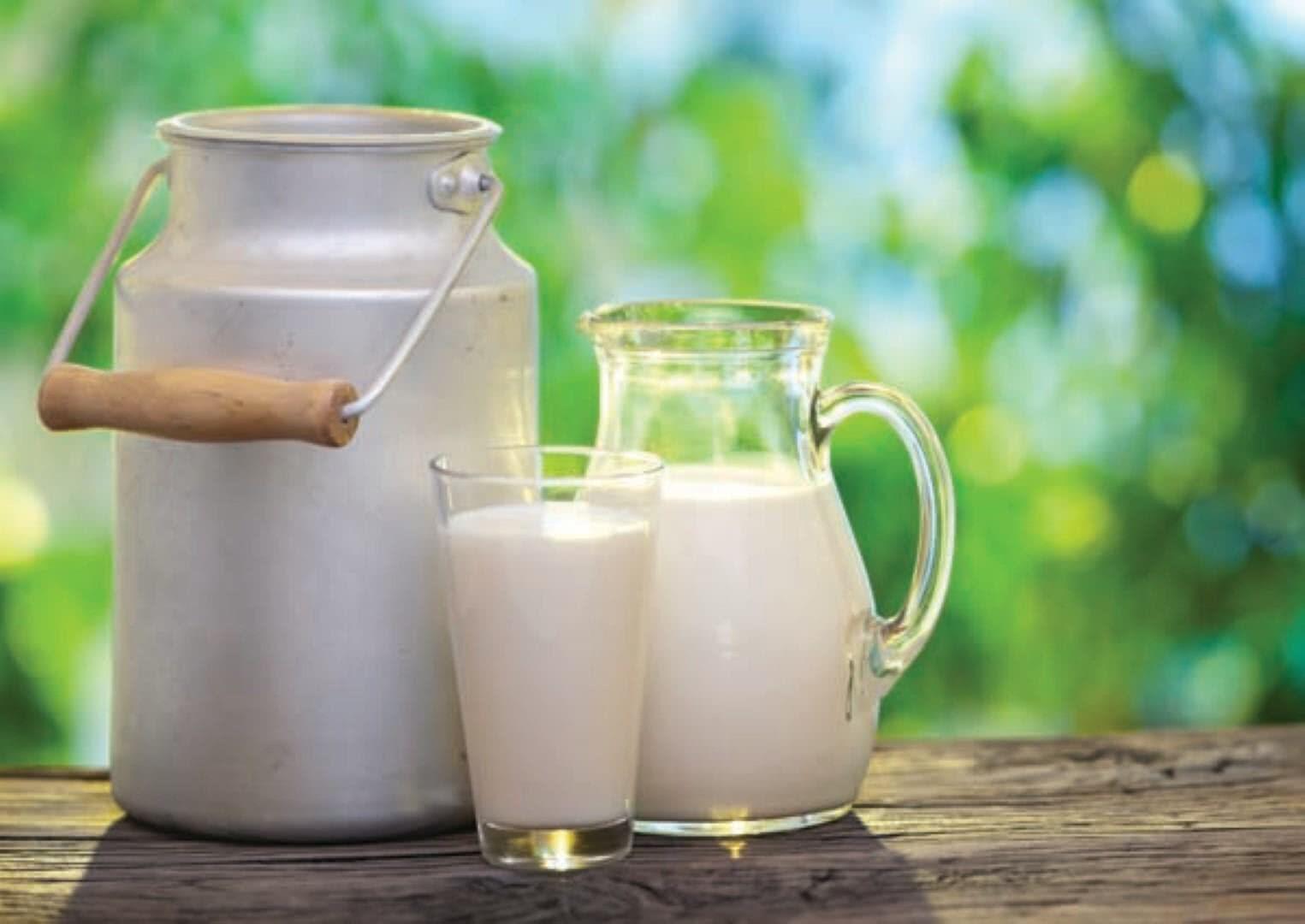 Biar Cepat Langsing, 10 Makanan Ini Dilarang untuk Golongan Darah A