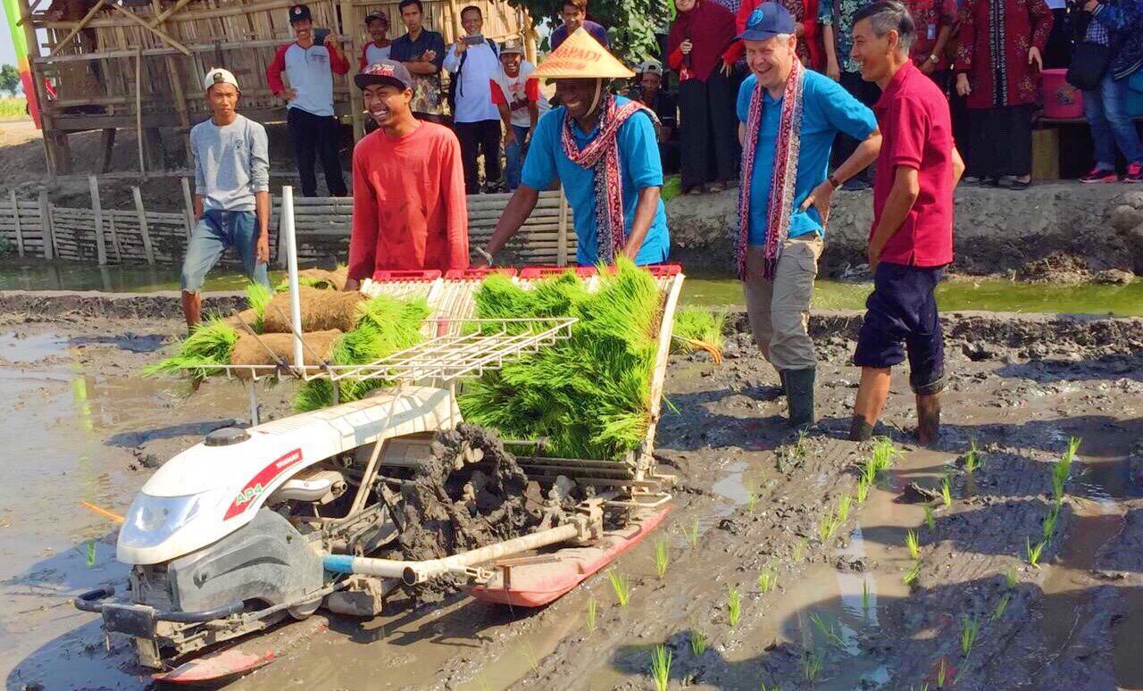 Ini Sebabnya 8 Negara Anggota FAO Pelajari Pertanian Indonesia