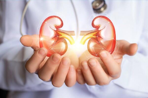 7 Kebiasaan Ini Ternyata Diam-diam Bisa Merusak Ginjalmu, Kurangi Ya!