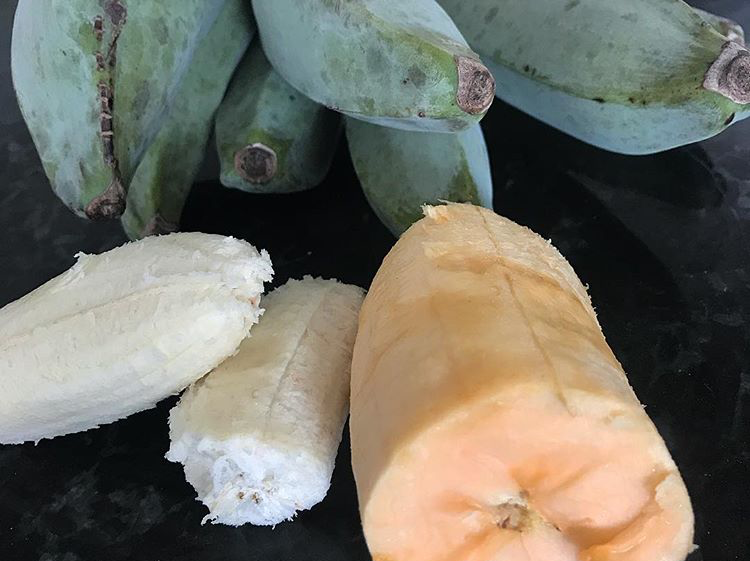 Blue Java Banana, Pisang Biru Selembut Es Krim Vanila