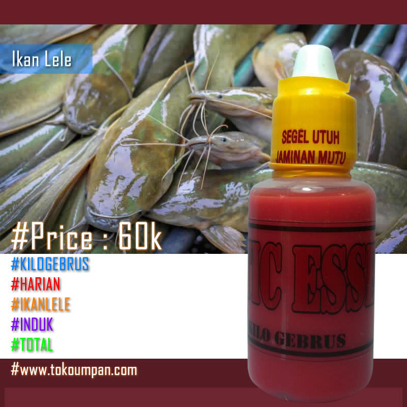 Essen Lele, Premium Product AQUATIC ESSENCE