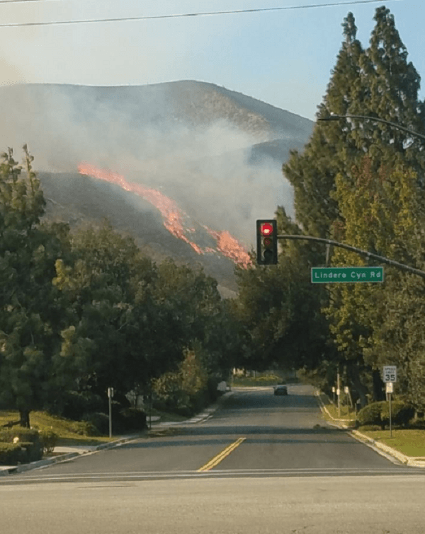 Kebakaran Hutan Besar di California, 9 Orang Dilaporkan Tewas