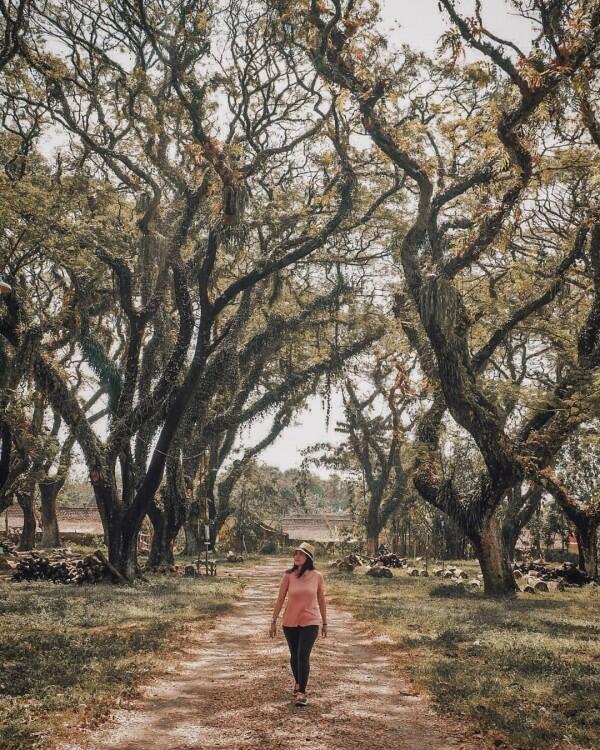 7 Lokasi di Ngawi yang Cocok Banget Buat Foto Prewedding Kamu