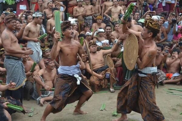 Perang Pandan, Perang Tak Biasa yang Hanya Ada di Bali