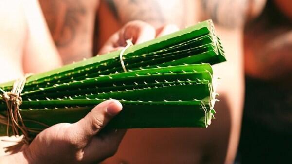 Perang Pandan, Perang Tak Biasa yang Hanya Ada di Bali