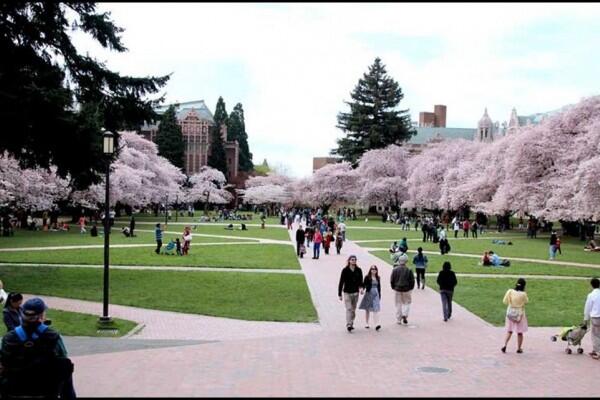 8 Community College Favorit Anak Indonesia di Amerika Serikat