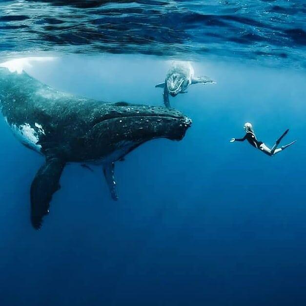 Tiga Freediver Cantik ini Dedikasikan Hidupnya Jadi 'Mermaid' Profesional!