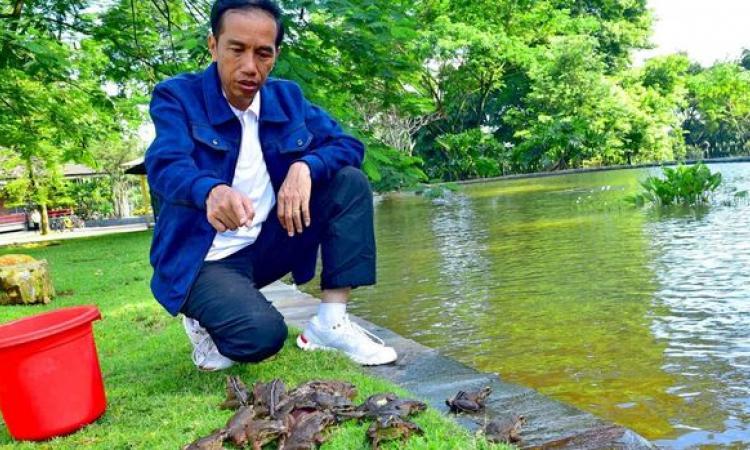 Pakar: Kubu Jokowi Paling Banyak Pakai Akun Robot untuk Kampanye