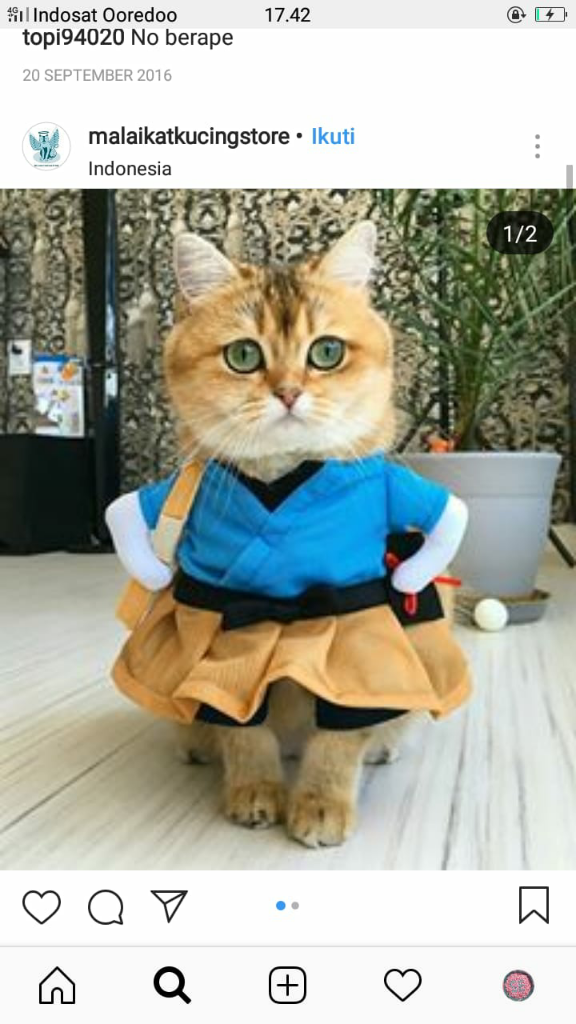 TULUNG AGUNG MEMERAHHH