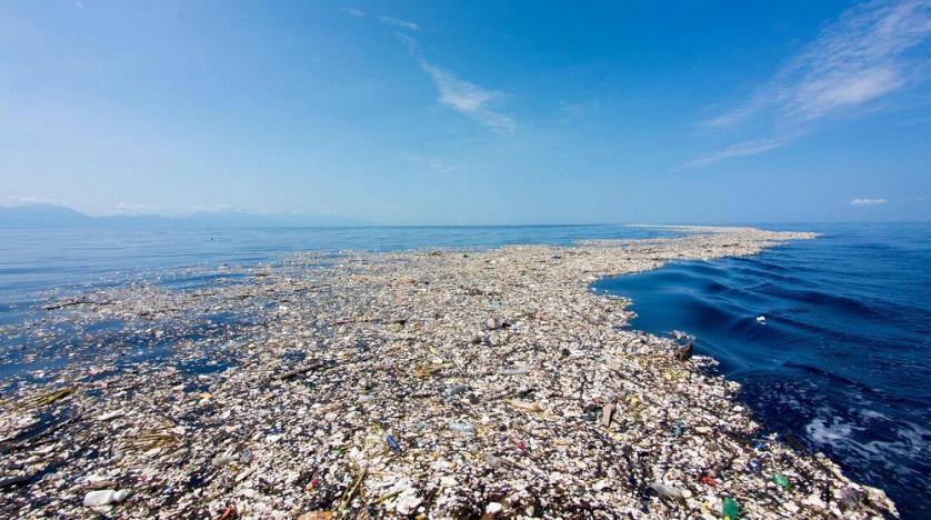 Kematian Nahas Paus Sperma di Wakatobi Karena Sampah Plastik