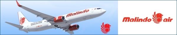 Spesialis Tiket Pesawat Internasional - www.kurang-piknik.com