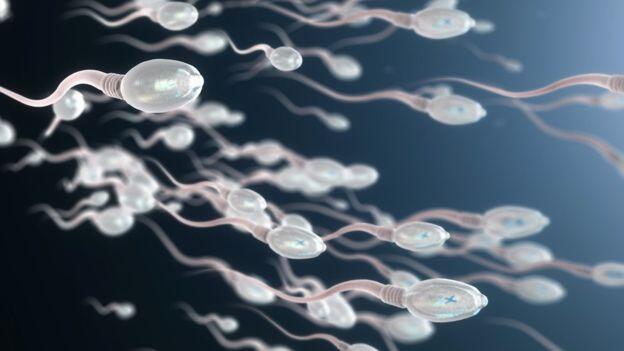 Hal Ini Akan Terjadi Pada "Cairan Kental" Agan Kalau Suka Ngemil Kacang-Kacangan