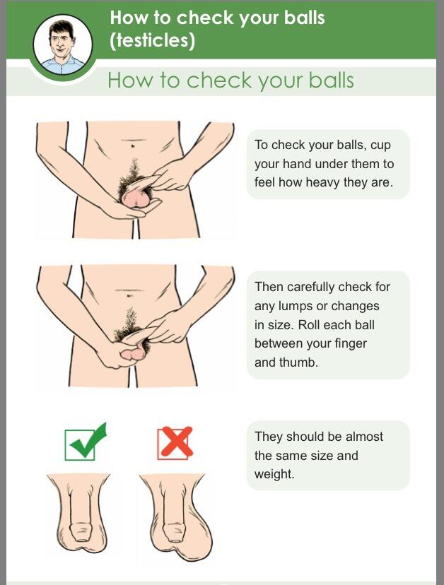 Cara Cek Biji Peler dari penyakit Kangker