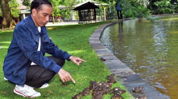 Jokowi: Dana Desa Besar, Jangan Kembali ke Kota atau ke Jakarta...