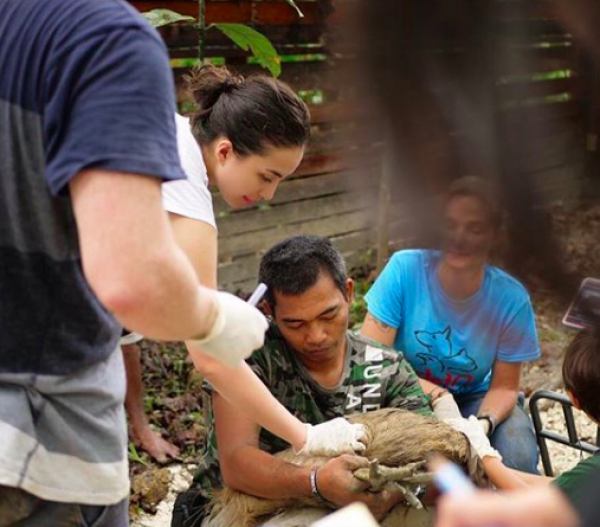 10 Aksi Sosial Manohara, Gempa Palu Hingga Tolong Kasuari Papua