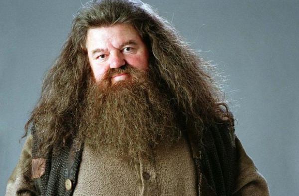 5 Pelajaran Hidup Penting Ini Bisa Kamu Ambil dari Film Harry Potter