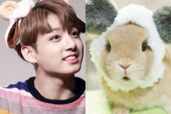 Ini Lho 6 Idol KPop yang Punya Wajah Kelinci, Gemesin deh!