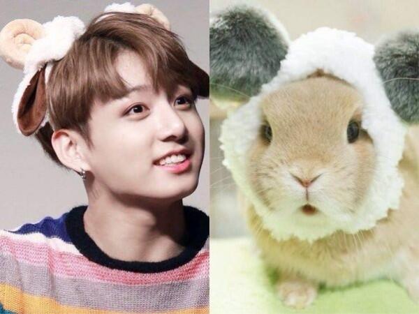 Ini Lho 6 Idol KPop yang Punya Wajah Kelinci, Gemesin deh!
