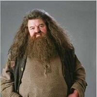 Ini Dia Transformasi Para Pemain Harry Potter! Tetap Ganteng dan Cantik Loh!
