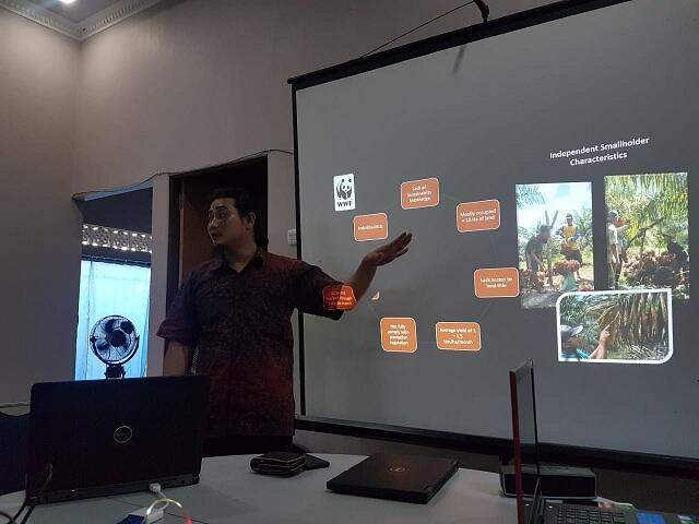 WWF Arahkan Petani Kelapa Sawit Sintang Tembus RSPO