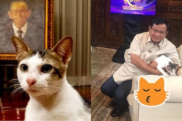 11 Momen Kebersamaan Prabowo & Kucing Kesayangannya, Cute Abis!