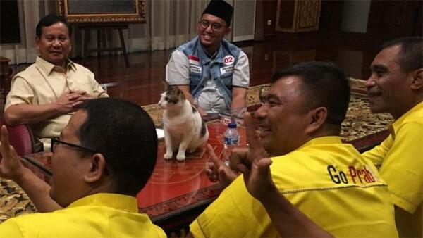 11 Momen Kebersamaan Prabowo & Kucing Kesayangannya, Cute Abis!