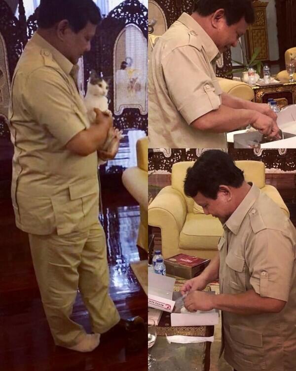 11 Momen Kebersamaan Prabowo & Kucing Kesayangannya, Cute Abis!