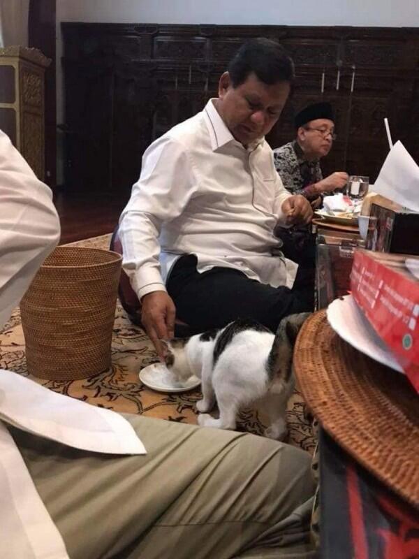 11 Momen Kebersamaan Prabowo & Kucing Kesayangannya, Cute Abis!