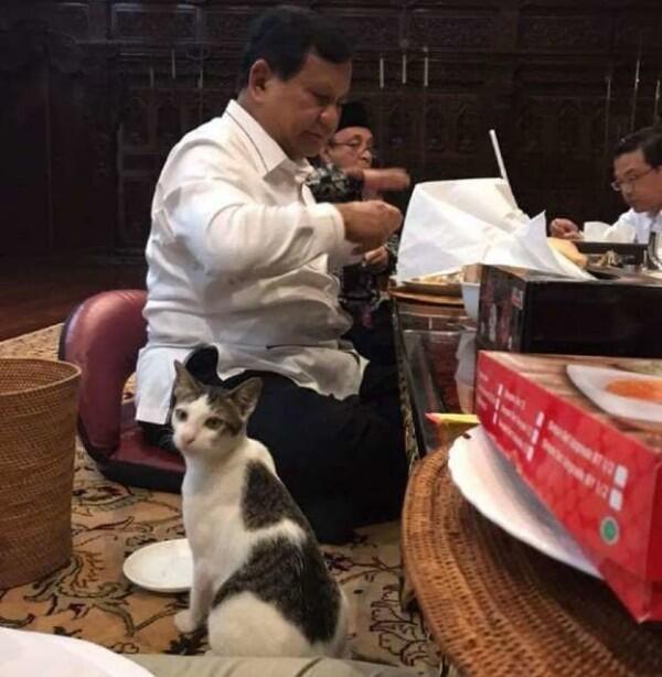 11 Momen Kebersamaan Prabowo & Kucing Kesayangannya, Cute Abis!