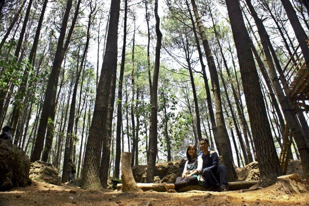 9 Wisata Alam Yogyakarta yang Masih Jarang Dikunjungi, Damai Rasanya