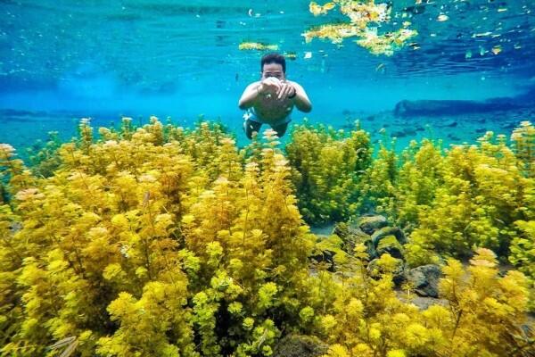 5 Spot Underwater Paling Kece di Malang, Instagramable Banget Lho!