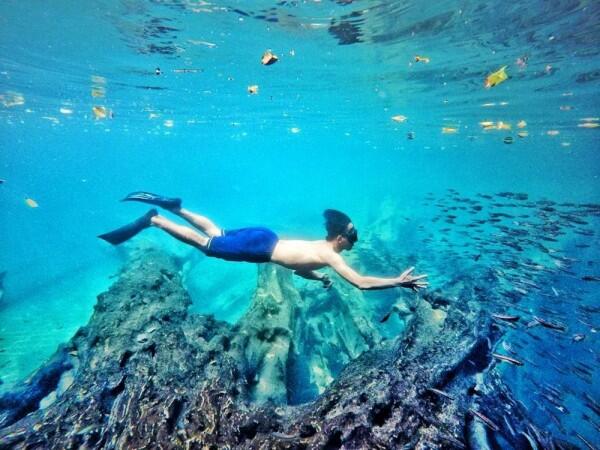 5 Spot Underwater Paling Kece di Malang, Instagramable Banget Lho!