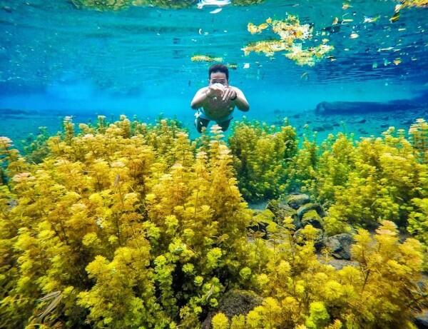 5 Spot Underwater Paling Kece di Malang, Instagramable Banget Lho!